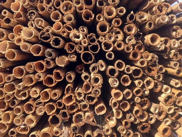 Close Stack Wood Piles — стоковое фото