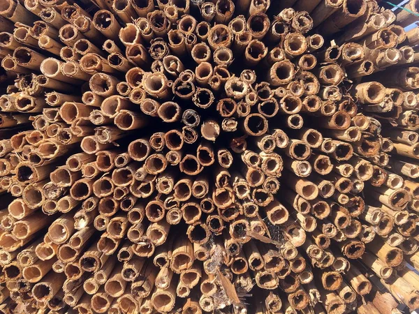 Close Stack Wood Piles — стоковое фото