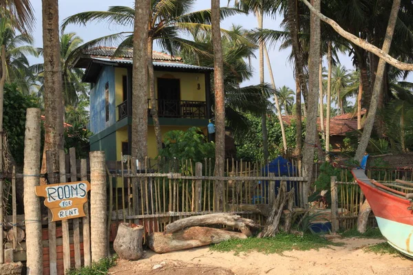 Maison Plage Avec Palmiers Lieu Voyage Sur Fond — Photo