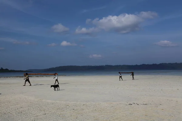 Pescatori Belli Stanno Pescando Vicino Una Spiaggia — Foto Stock