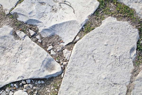 Крупный План Тротуар Белых Камней Трещинами — стоковое фото