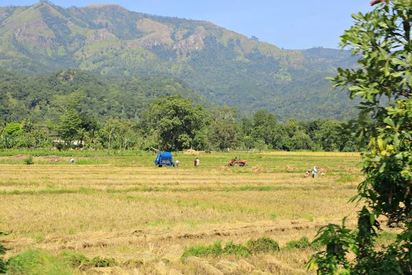 Landelijke Landschappen Van India Tijdens Zonnige Dag — Stockfoto