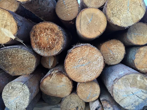 İlginç arka plan ve dokular için odun yığınları. Yaratıcı fikirler için.