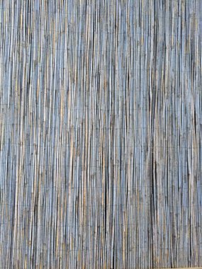 İlginç ve yaratıcı arka planlar için kamış dokusu. Web, baskı ve çeşitli fikirler için arkaplan