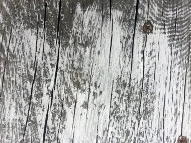 İlginç arka planlar için gri ve beyaz eski kalas. Web, baskı, blog ve yaratıcı fikirler için.