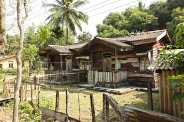 Hindistan 'ın kırsal bölgeleri güneşli bir günde