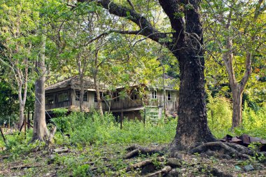 Hindistan 'ın kırsal bölgeleri güneşli bir günde