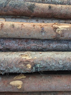 İlginç arka plan fikirleri için ahşap kütükler yığılır.