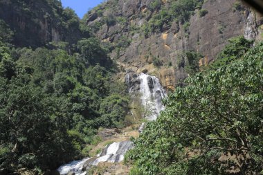 yeşil Hindistan kırsal arazisi