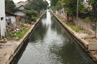 Hindistan 'ın kırsal bölgeleri güneşli bir günde