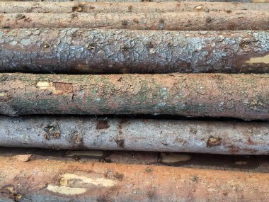 Bir yığın ahşap dokuyu kapat