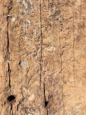 İlginç arka planlar ve dokular için yıllanmış ahşap kalas. Yaratıcı baskı ve web fikirleri için.