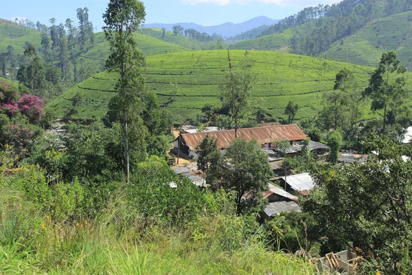 Hindistan kırsal evleri manzaralar