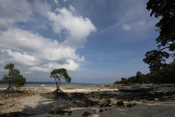 Belle Vue Sur Mer Bateau Sur Fond Nature — Photo