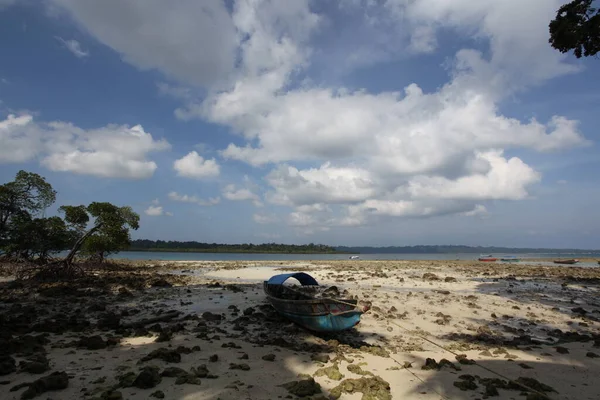 Belle Vue Sur Mer Bateau Sur Fond Nature — Photo