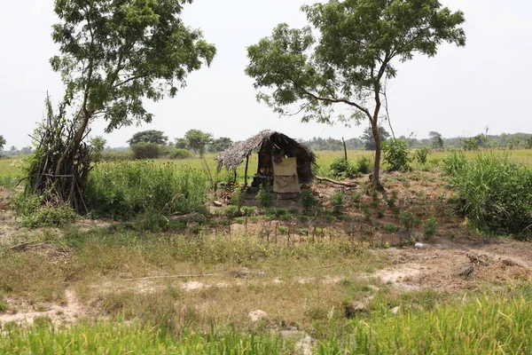 India rural houses landscapes