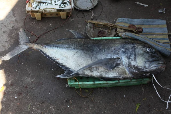 Pesce Nel Mercato Sullo Sfondo Primo Piano — Foto Stock