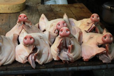 close up of pork heads on background, close up