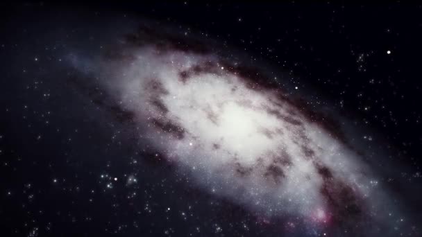 Video Záznam Pohyb Zářivých Hvězd Animace Černém Pozadí Looping Seamless — Stock video