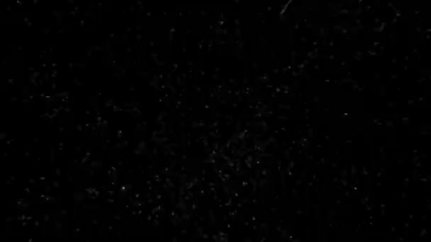 Vidéo Mouvement Des Étoiles Brillantes Animation Sur Fond Noir Boucle — Video