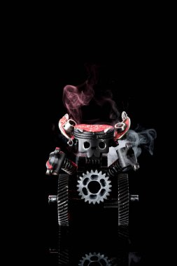 Kafatası olan robot