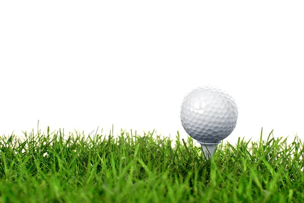 Golfbal Groen Gras — Stockfoto