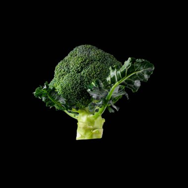 Brokoli beyaz arkaplanda izole edildi