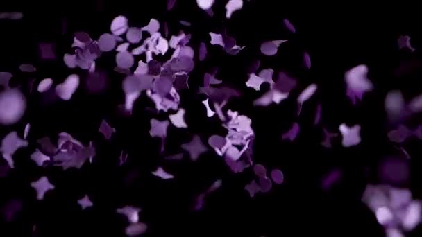 Violett confetti falling in slowmotion into black background — Stock Video
