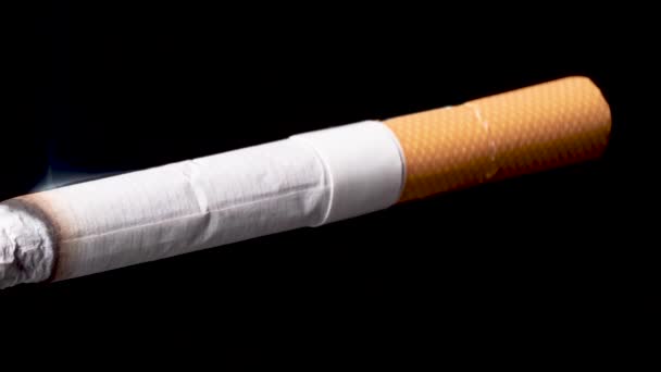 Solo καύση τσιγάρων σε μαύρο φόντο, timelapse πυροβόλησε, έννοια του καπνίσματος — Αρχείο Βίντεο