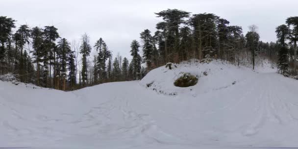 360 VR Śnieżna ścieżka przez las w Szwajcarii bez nikogo w ramce. — Wideo stockowe