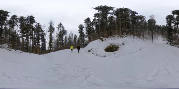 360 VR Βίντεο, Εικονική πραγματικότητα δύο ανδρών που περπατούν σε χιονισμένο μονοπάτι στην Ελβετία — Αρχείο Βίντεο