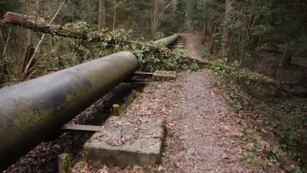 Antiguo oleoducto en un bosque malhumorado, árbol caído en él, dolly tiro hacia adelante — Vídeos de Stock