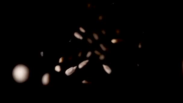 Lezzetli ayçiçeği tohumları birbirine çarpıyor ve karanlık arka plana düşüyor.. — Stok video