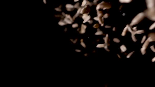 A pile of sunflower kernel are emptied in a studio with black background. — Stok video