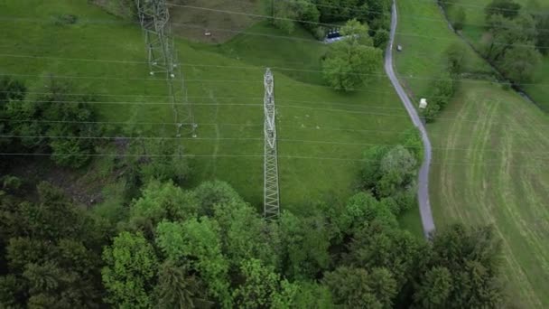 Tourner autour d'un poteau électrique dans une prairie et une forêt, aérien. — Video