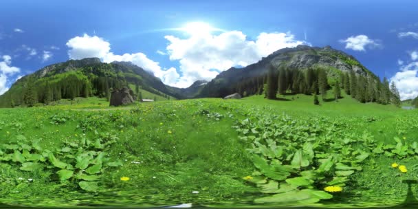 Piękna szwajcarska panorama alpejska z małym jeziorkiem w lecie, 360 VR Video. — Wideo stockowe