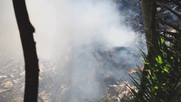 Φωτιά Και Καπνός Κάψιμο Των Σκουπιδιών — Αρχείο Βίντεο