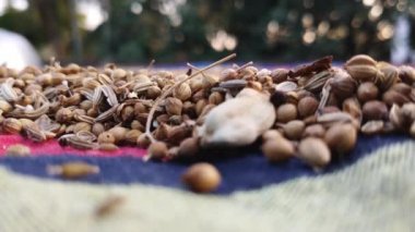 Terasta masala kurutmanın geleneksel yolu