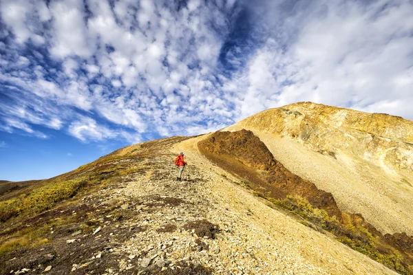 Alaska'da yürüyüş