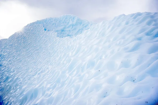 Віддалений Аляски льодовик Закрити ДБЖ — стокове фото