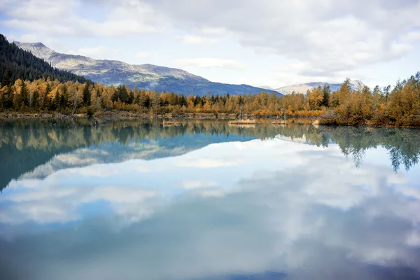 Podzim na Aljašce - jezero & Aspen Forest — Stock fotografie