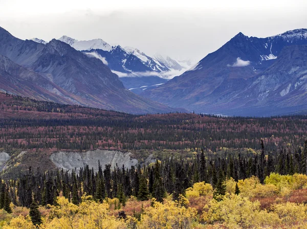 Alaska Autumn Scenary — Stock Photo, Image