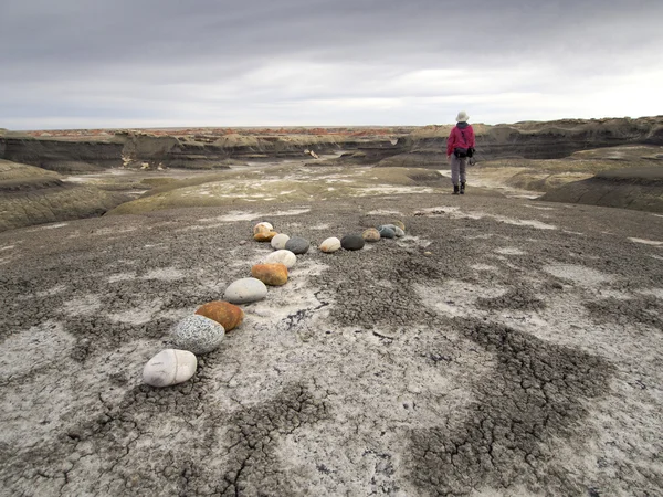 Bilinmeyen yürüyen