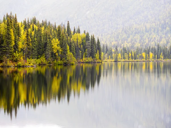 Höst färg reflektion Stockbild