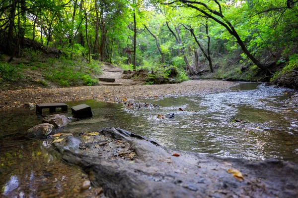 Dallas 'ta bir şehir parkı. Ormanın içinden geçen küçük bir dere zig zag. Her şey yeşil ve güzel.. 