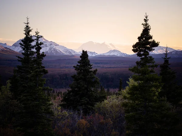 Sonbaharda McKinney Dağı - Denali Ulusal Parkı 'nda sonbahar, çimenler, ağaçlar, nehirler ve dağlardan her yere yayılıyor. Manzara görkemli bir şekilde her türlü renkle kaplıdır. Parktaki en güzel mevsim.. 