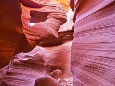 Uzak güneybatı yuvası Kanyon