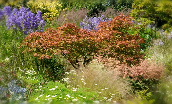 Kır çiçeği yazlık bahçe.