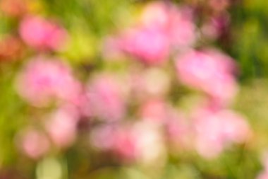 Pazarlama için tasarlamak ve görüntüleyin.