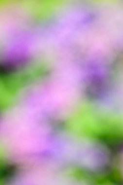 Yumuşak pastel ve doğal renk zemin görüntüleri.